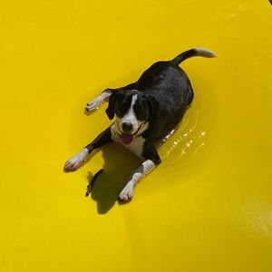 Meet your Posher, Cady